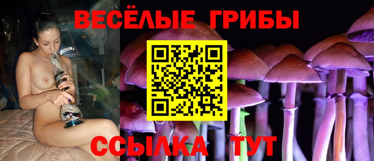 Псилоцибиновые грибы прущие грибы  хочу   Острогожск  Вход с VPN 